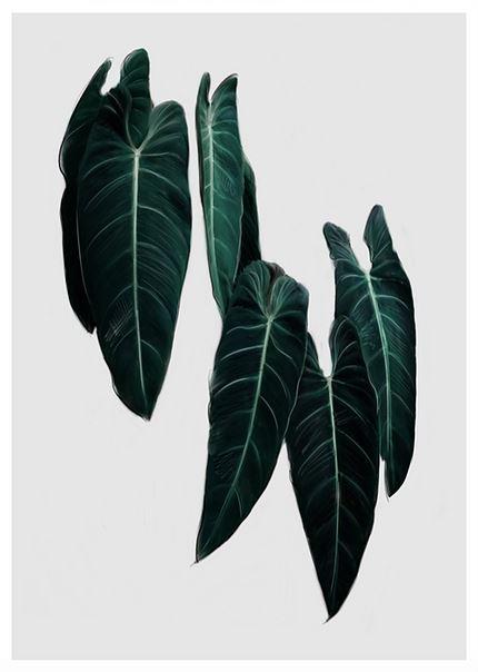 Philodendron Print - GFURN